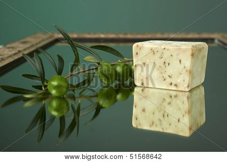 Handmade Olive Soap With Olive Branch.
