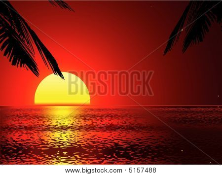 벡터 일몰으로 이동식 손바닥 (벡터)