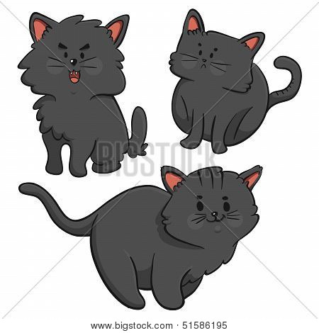 Black Cats Trio