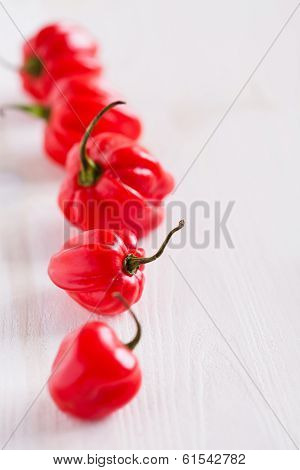 Red Chili Peppers