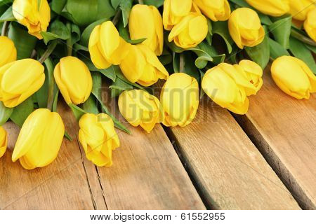 fresh yellow tulips on wooden background