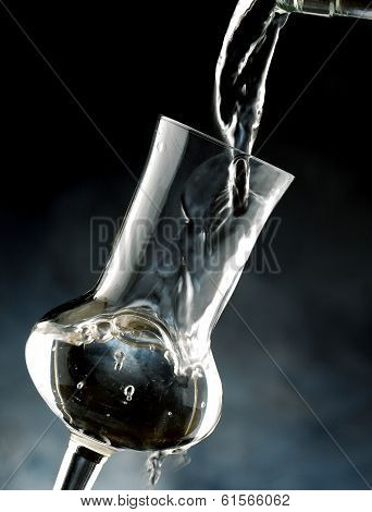 Glasses of grappa