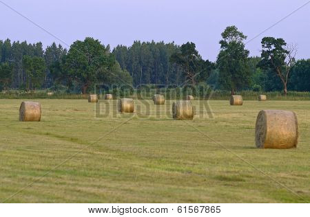 Straw Bales On The Meadow
