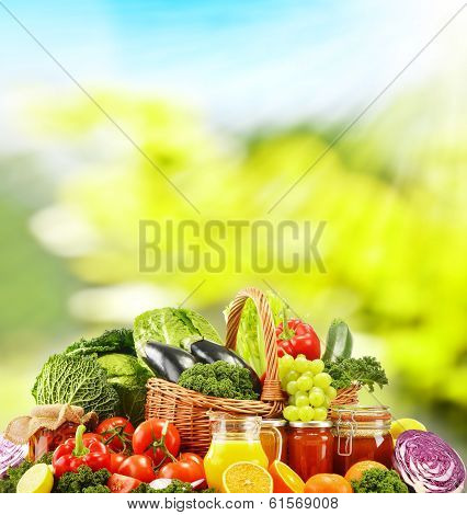 Balanced Diet Based On Raw Organic Vegetables
