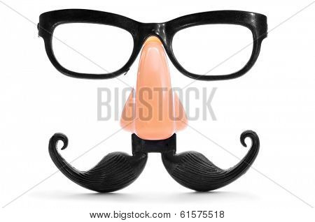 closeup of a fake nose and glasses, with mustache and furry eyebrows