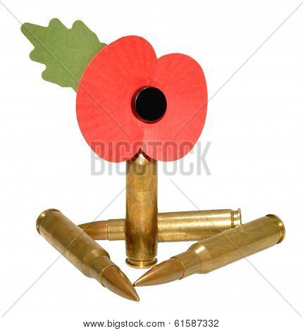 Remembrance Day Poppy And Bullets