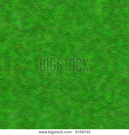 Moss Plant Surface
