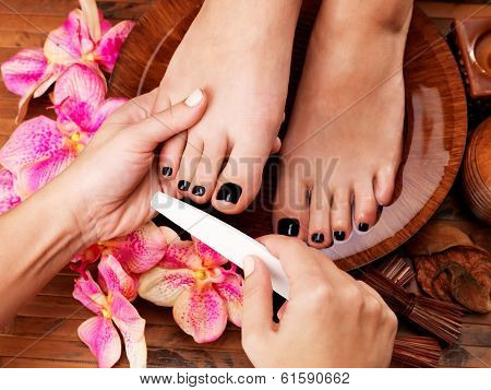 Pedicurist Master Makes Pedicure On Woman's Legs
