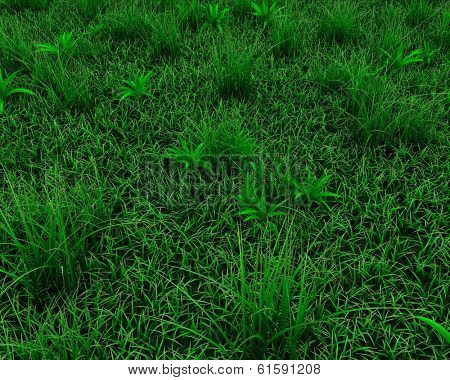 3d render of a spring grass background