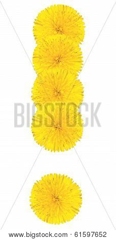 Exclamation Sing Made From Dandelion Flower