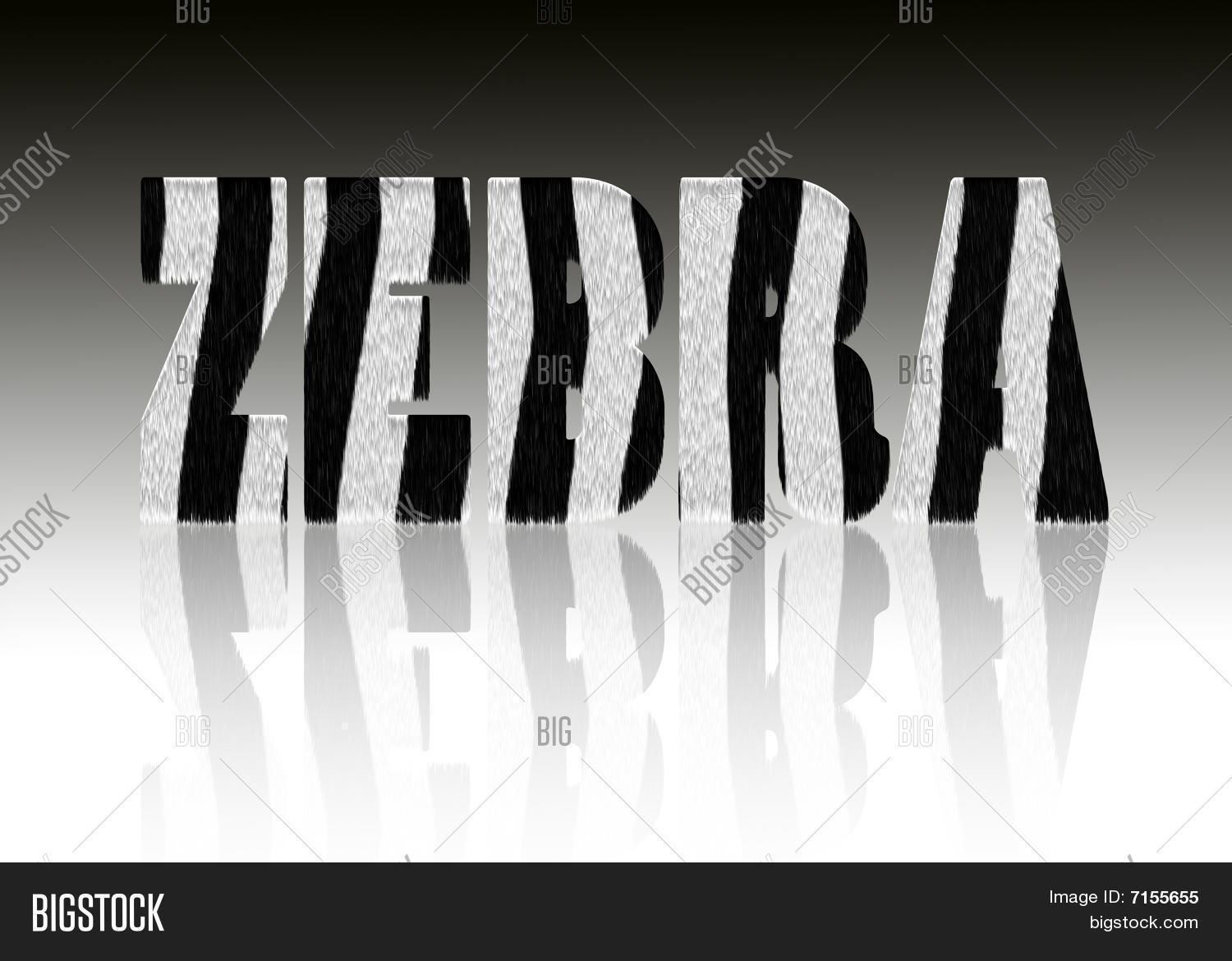 Zebra Word Pattern Image &amp; Photo (Free Trial) | Bigstock