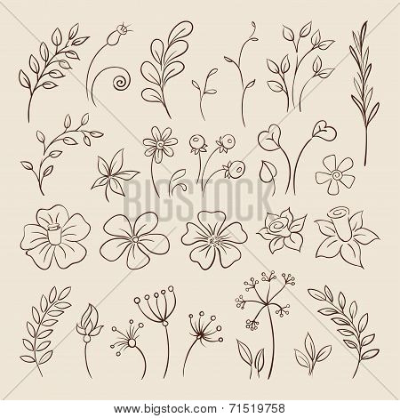 Doodle elements for design. Flowers, buds, leaves.