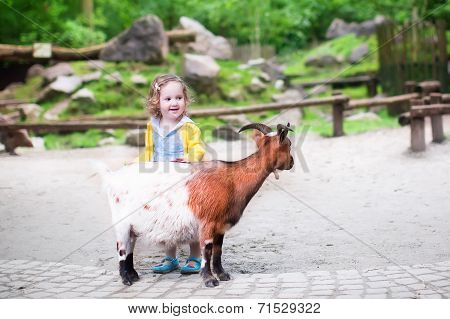 Cute Little Girl Feeding A Goat