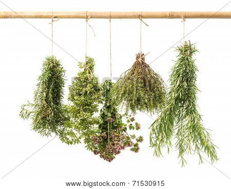Hanging Bunches Of Fresh Herbs Isolated On White