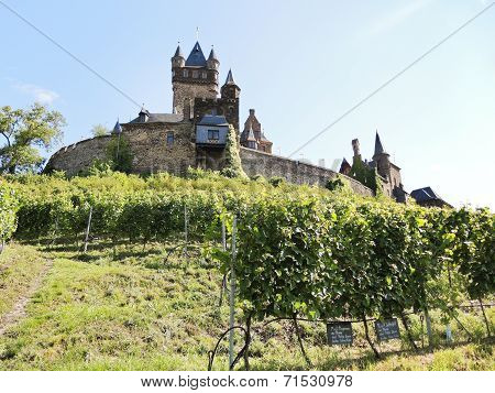 Vineyards Under Cochem Imperial Castle, Moselle