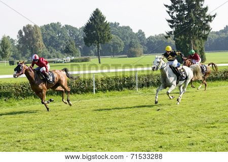WROCLAW, POLAND - SEPTEMBER 6: Race for 3-year-old Arabian horse group II on 6 September 2014 in Wroclaw, Poland. In the photograph can be seen horses Cassini no. 5 and winner Elaria no. 9. 