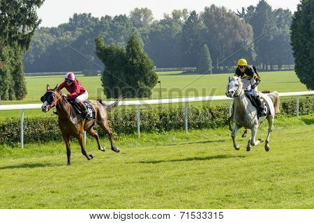 WROCLAW, POLAND - SEPTEMBER 6: Race for 3-year-old Arabian horse group II on 6 September 2014 in Wroclaw, Poland. In the photograph can be seen horses Cassini no. 5 and winner Elaria no. 9. 