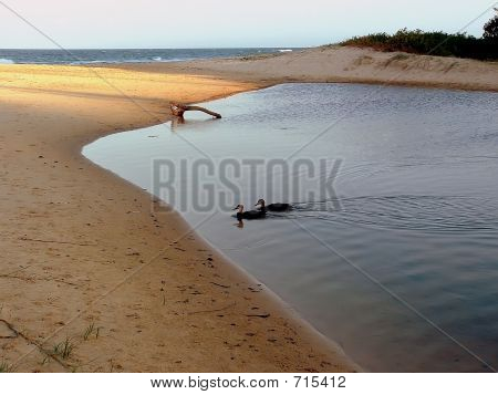 Nambucca Beach
