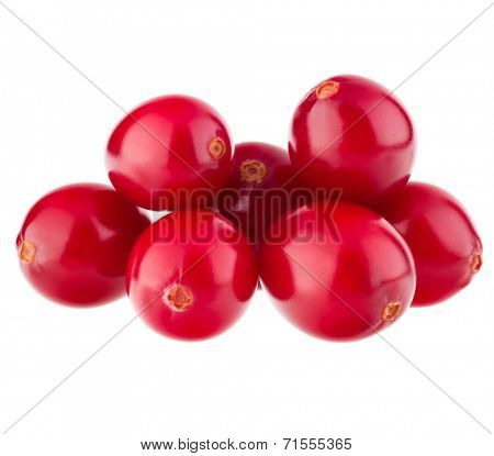 cranberry  isolated on white background cutout