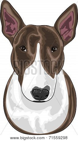 Vector Dog Breed Bull Terrier