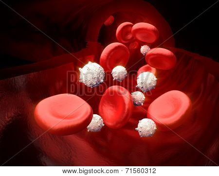 Blood Stream - Opened Artery