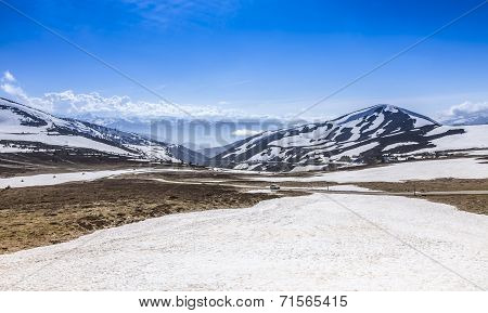 Cold Landscape