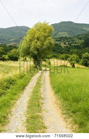 Regnano, Tuscany (italy)