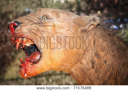 Realistic Model Of Prehistoric Animal