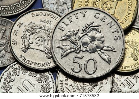 Coins of Singapore. Golden trumpet (Allamanda cathartica) depicted in Singapore fifty cents coin. 