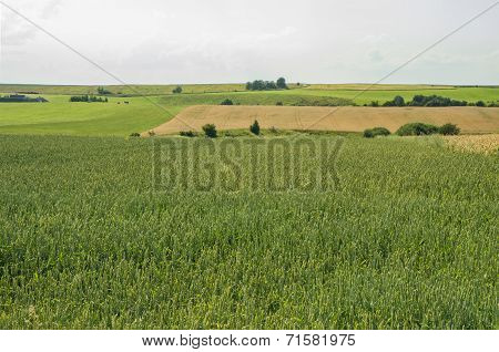 Fields To The Horizon