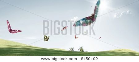 Fly