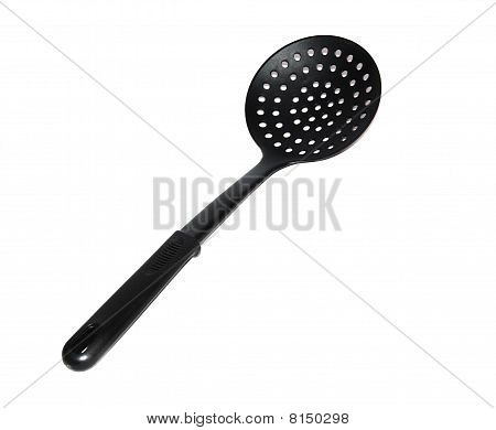 흰 배경에 고립 된 검은 제비 갈매기
