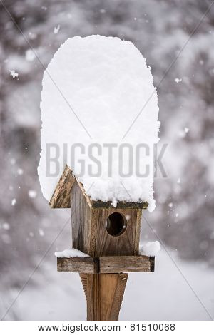 A Snow Covered Bird House In Winter