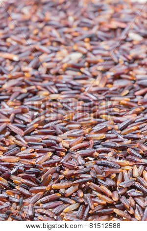 Close-up  brown rice background