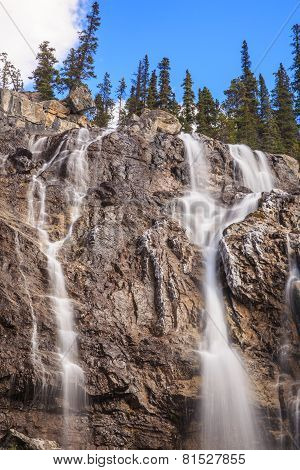 Tangle Falls