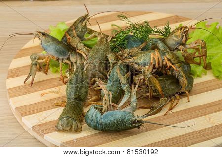 Raw Crayfish