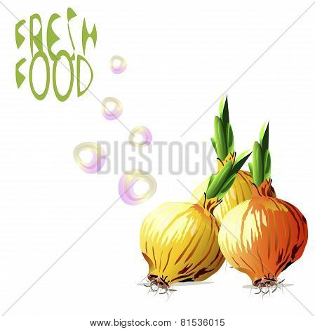 Fresh Onions
