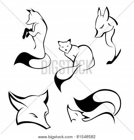 Set of foxes in curve lines