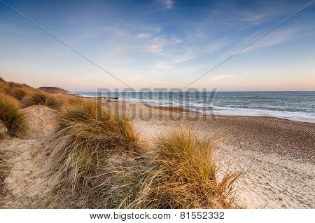 Sand Dunes At Hengistbury Head