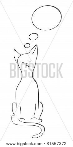 pensive cat
