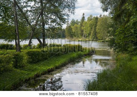 At the lake