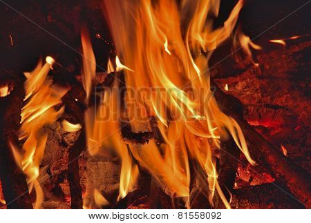 Aflame Wood