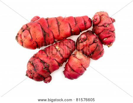 Group Of New Zealand Pink Oca Yams Studio Isolated