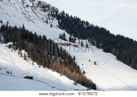 winter scenery