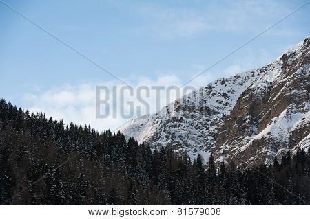winter scenery