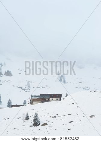 winter scenery