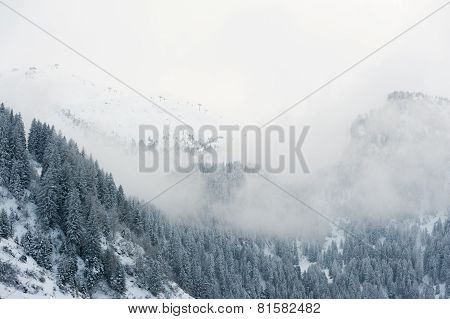 winter scenery
