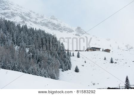 winter scenery