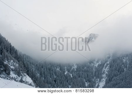 winter scenery