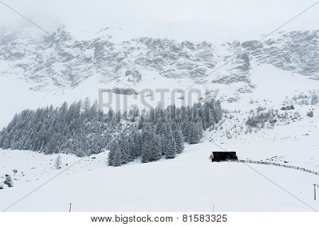 winter scenery